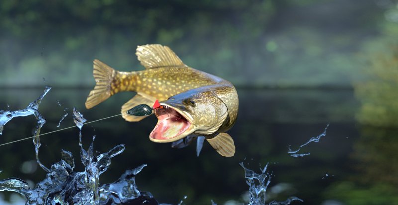 Обои рыбалка