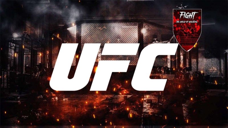UFC картинки на рабочий стол