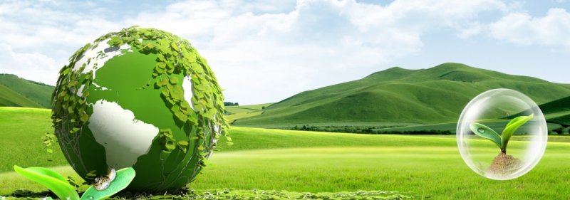 Гринвей экология