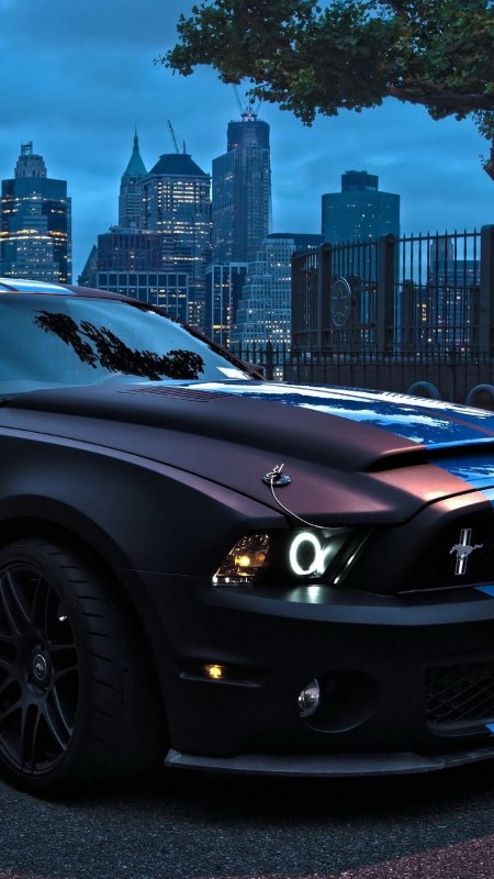 Черный Мустанг ночью