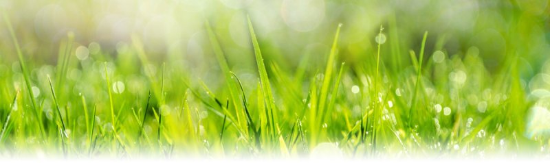 My Greenway логотип