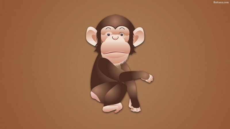 Фон с обезьянами