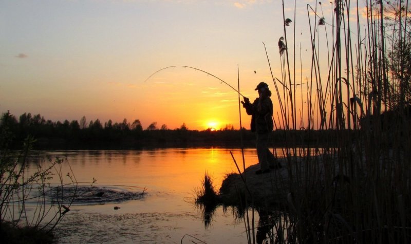 Летняя рыбалка