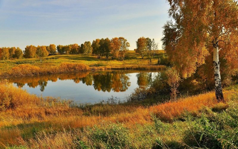 Пейзажи средней полосы России