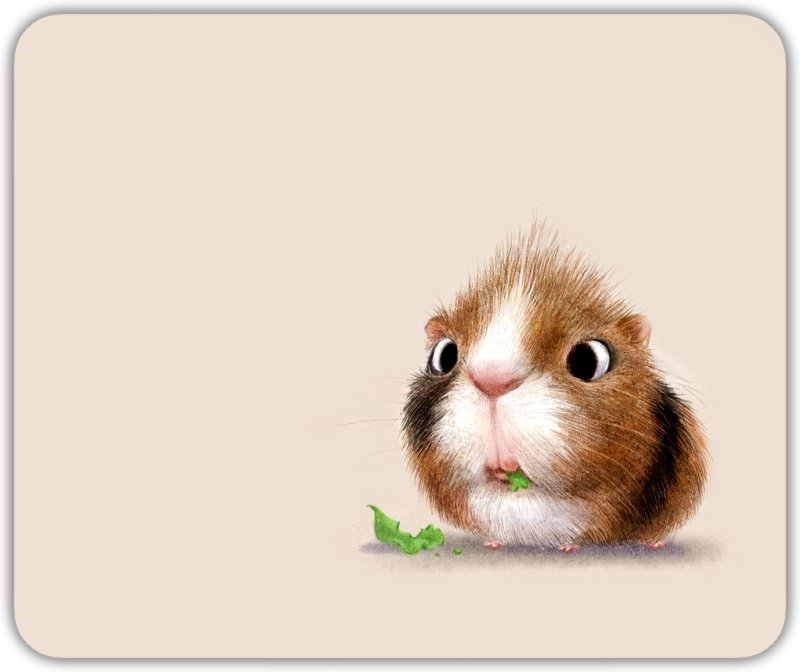 Обои с хомяками