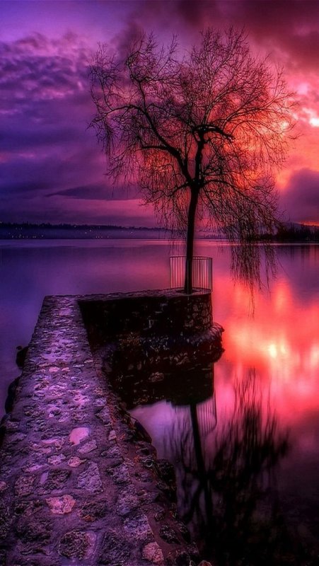 Природа вечер