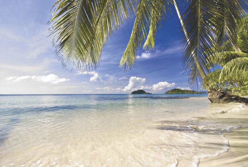 Парадиз остров Карибского моря