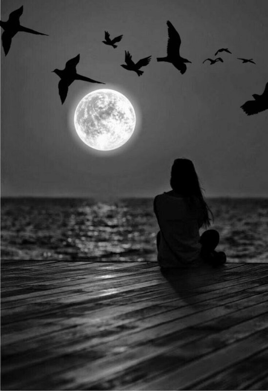 Это одиночество