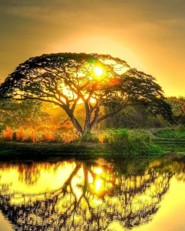 Необычные пейзажи природы