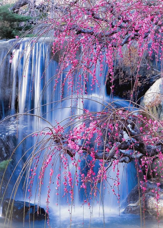 Необычная природа