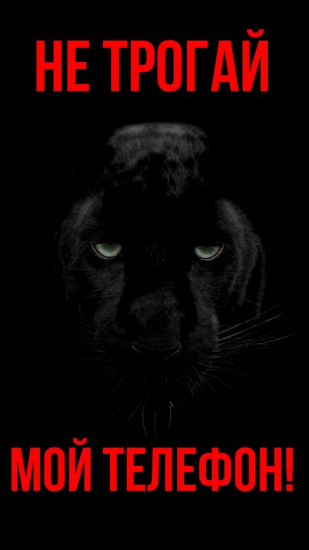 Обои с надписью положи на место