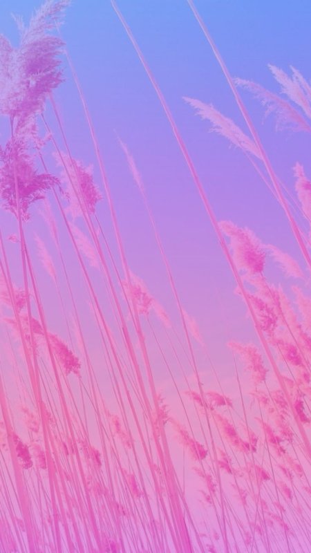 Розовый фон Эстетика