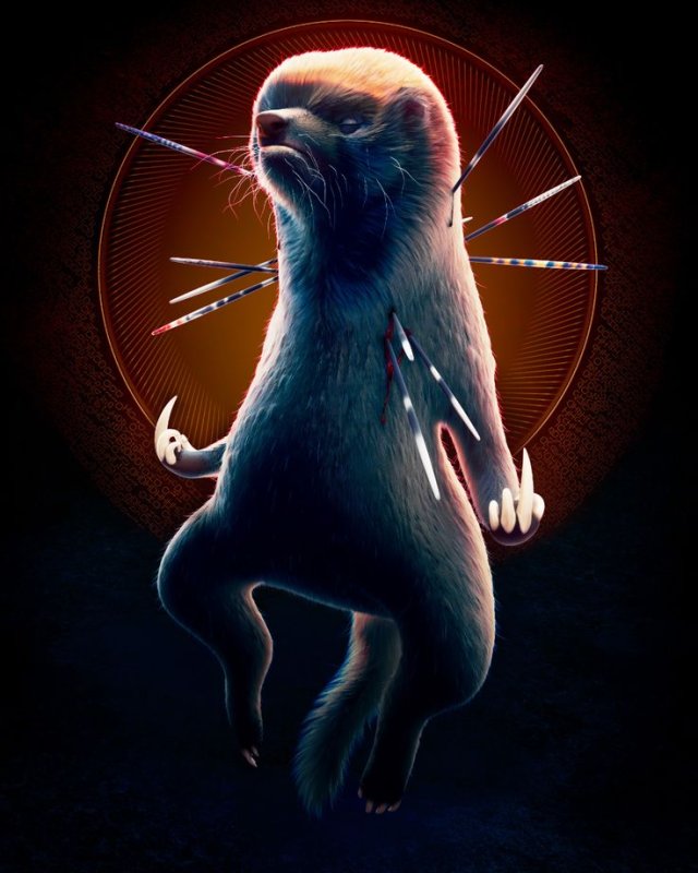 Медоед картинки