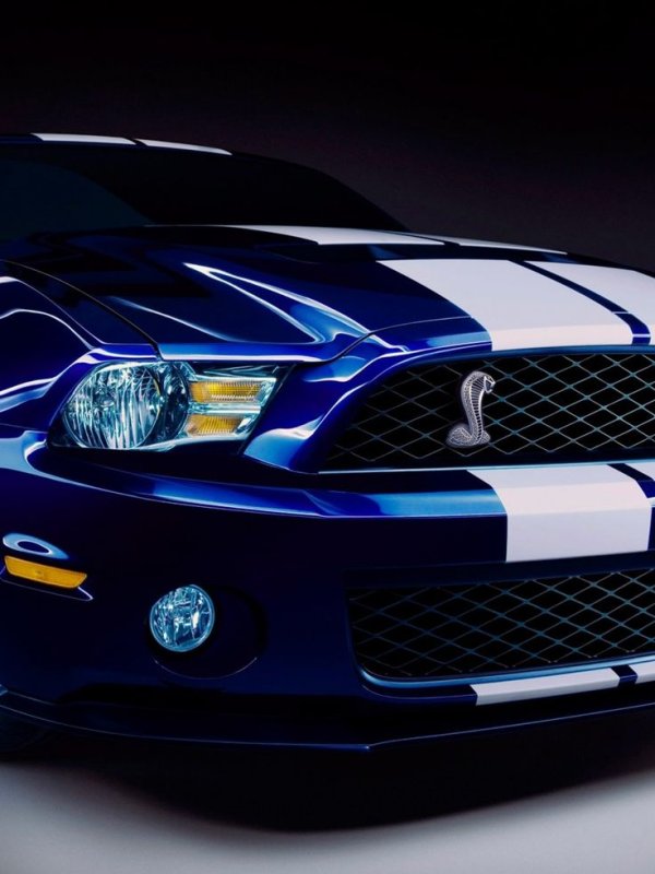Ford Mustang Shelby Cobra gt500