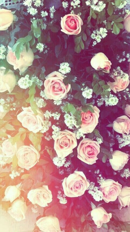 Фон на айфон