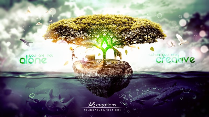 Денежное дерево