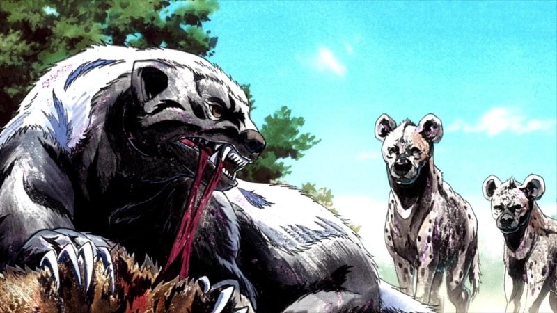 Барсук медоед арт