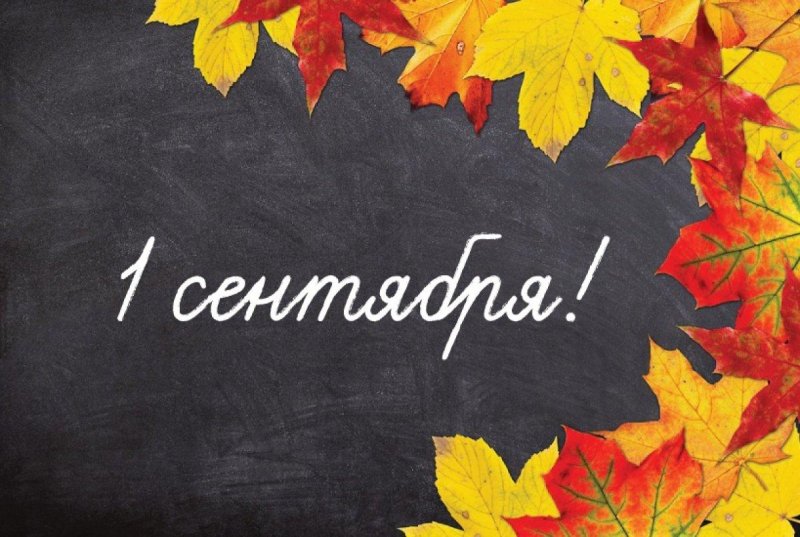 Осень школа