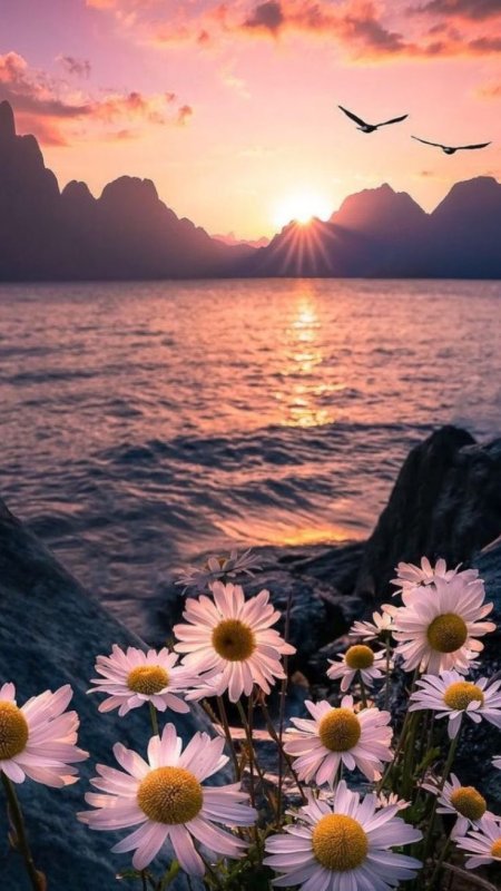 Летний закат