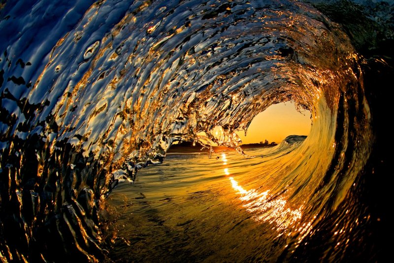 Удивительная природа