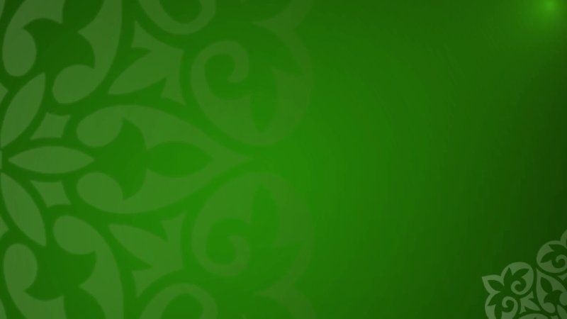 Зеленый фон с узорами