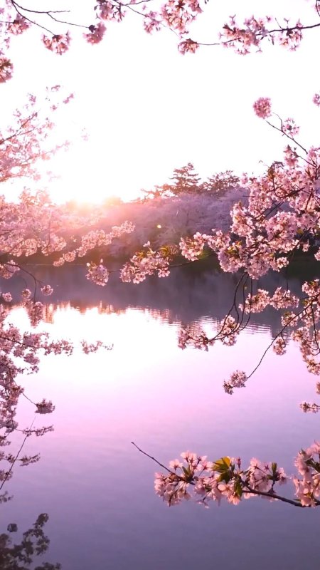 Природа для айфона