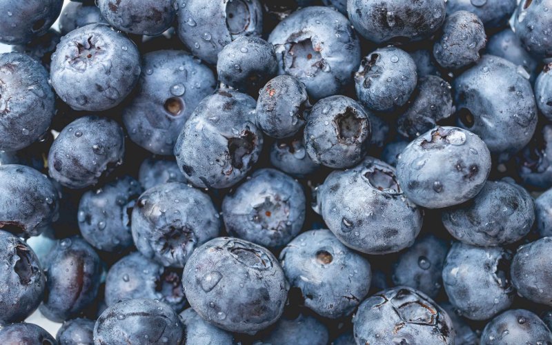 Голубика Блюголд