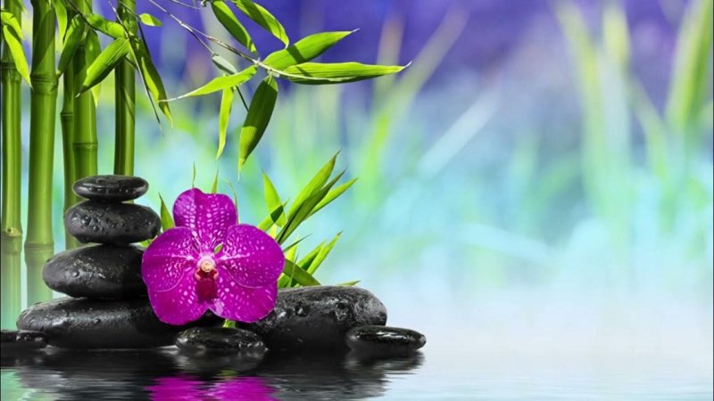 Бамбук камни вода