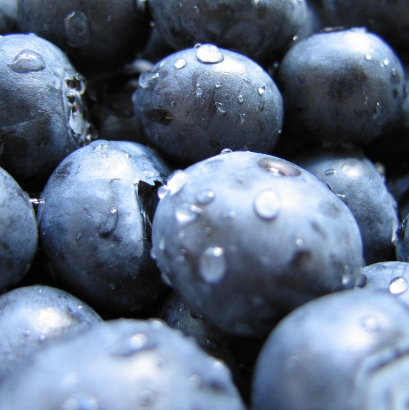 Ягоды картинки