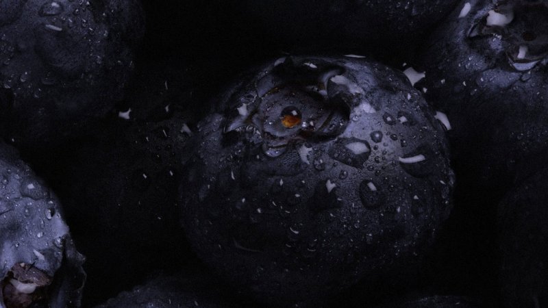 Голубика на черном фоне