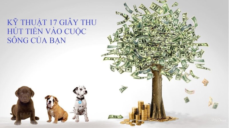 Деньги богатство