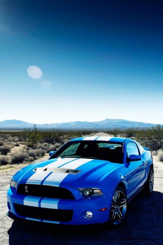 Форд Шелби gt 500