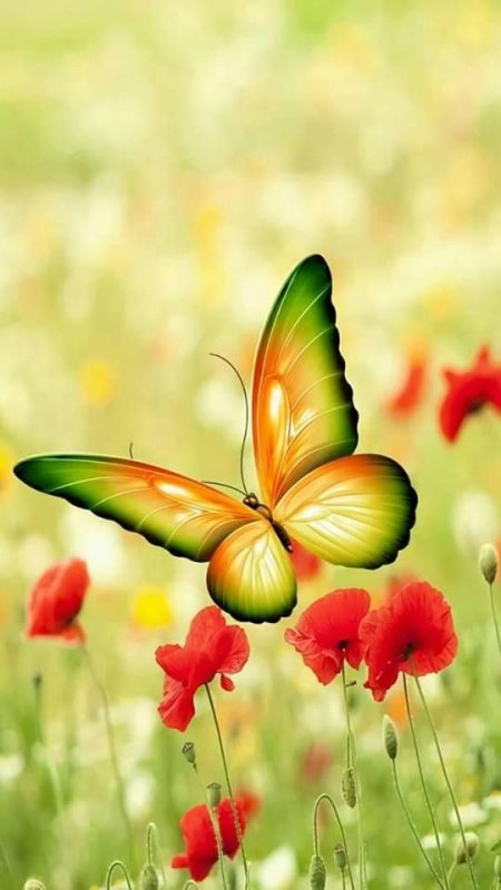 Фон на телефон красивые