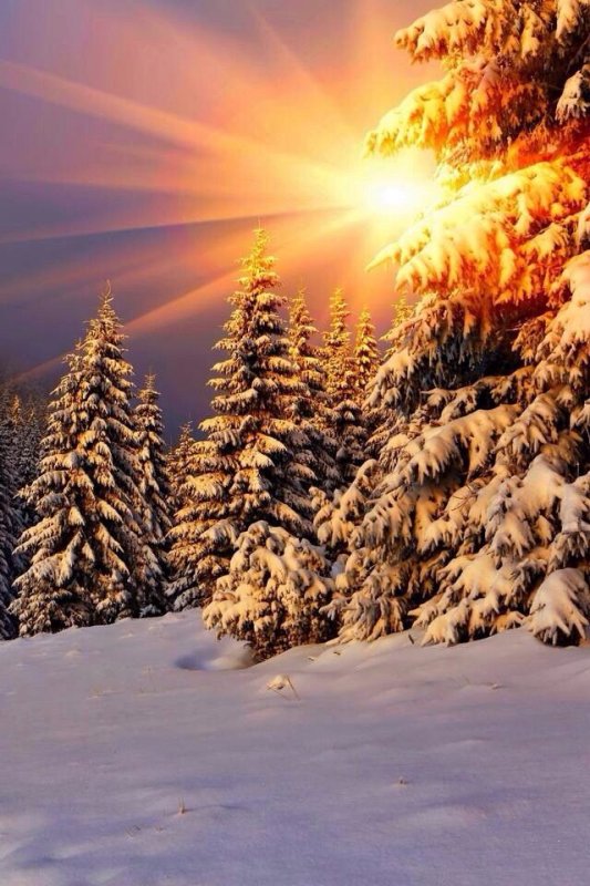 Зимний Солнечный пейзаж