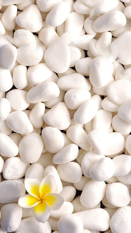Красивые белые камушки