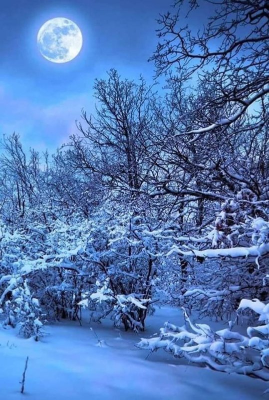 Зима картинки