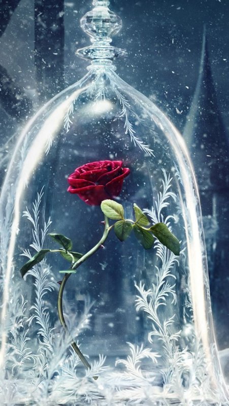Красавица и чудовище роза в колбе