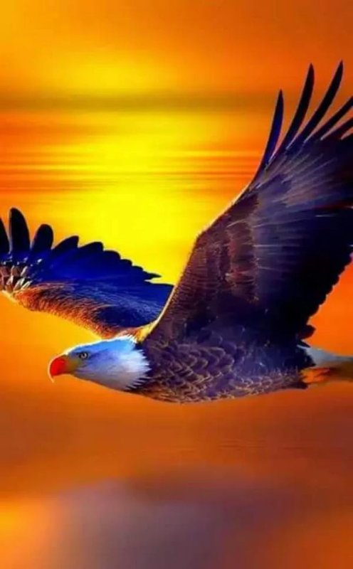 Птица в полёте