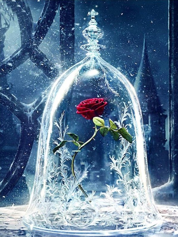 Ледяная роза