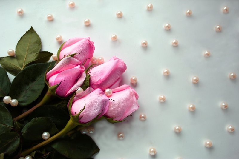 Розовые розы