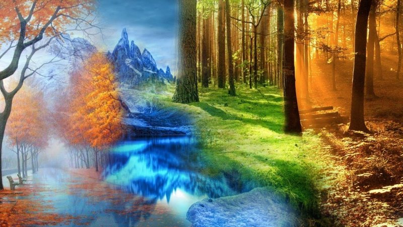Пейзажи всех времен года