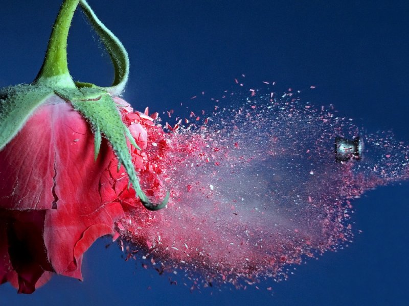 Обои на рабочий стол необычные