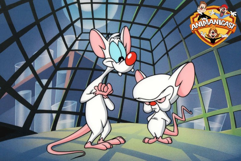 Пинки и Брейн захватывают мир