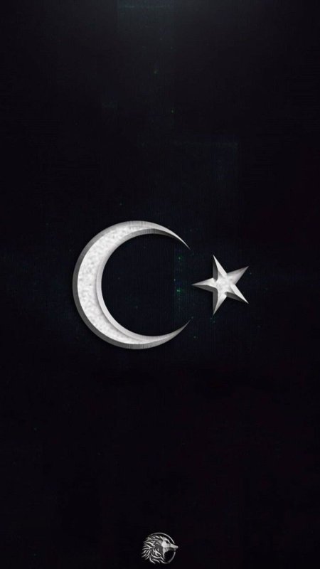 Исламский полумесяц со звездой