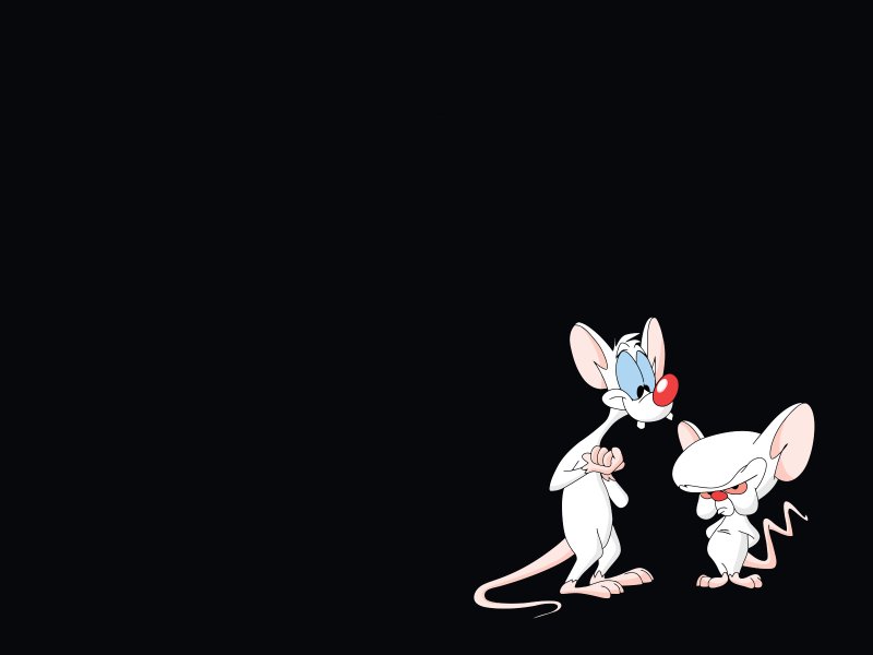 Pinky and Brain