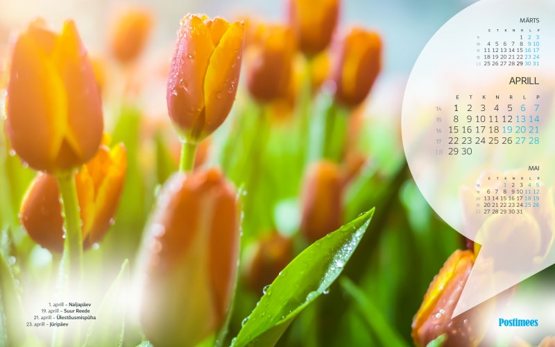 Обои календарь апрель