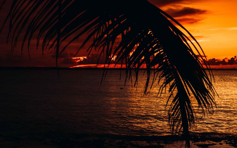 Вечерний пляж