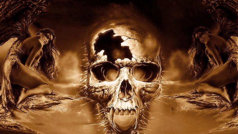 Красивый череп