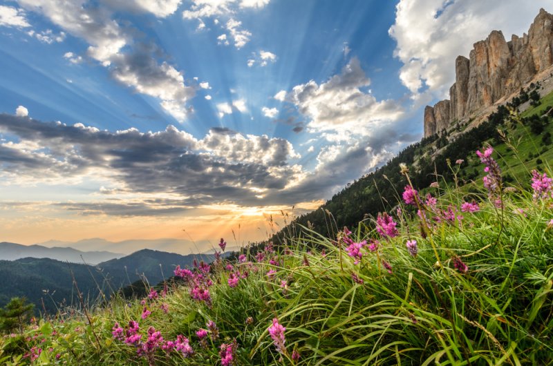 Дагестан высокогорный горы цветы