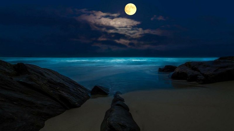 Ночной пейзаж